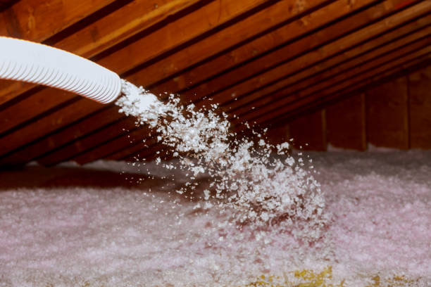 Best Best Insulation Companies  in Percy, IL