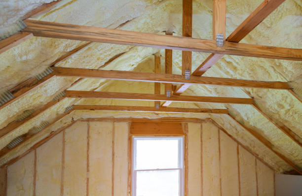 Best Soundproof Insulation Installation  in Percy, IL