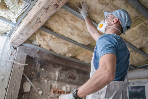 Best Insulation for New Construction  in Percy, IL